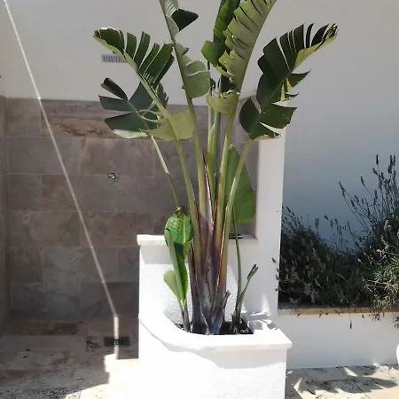 Apartamento Sol- Fanals *